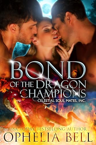 Arcturus Champions book cover 2