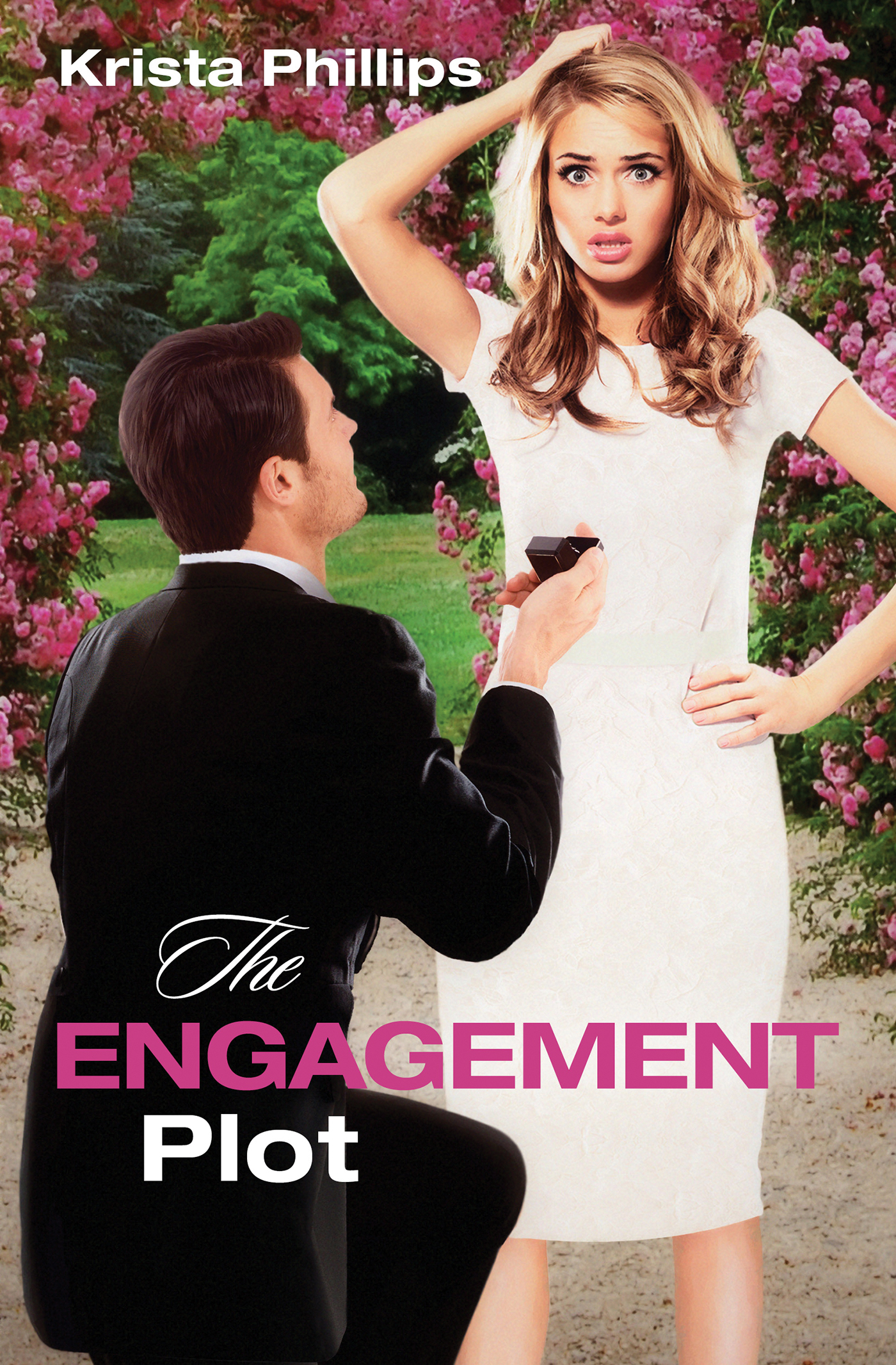The Engagement Plot book cover