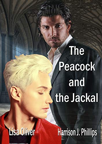 The Ostentation book cover 1