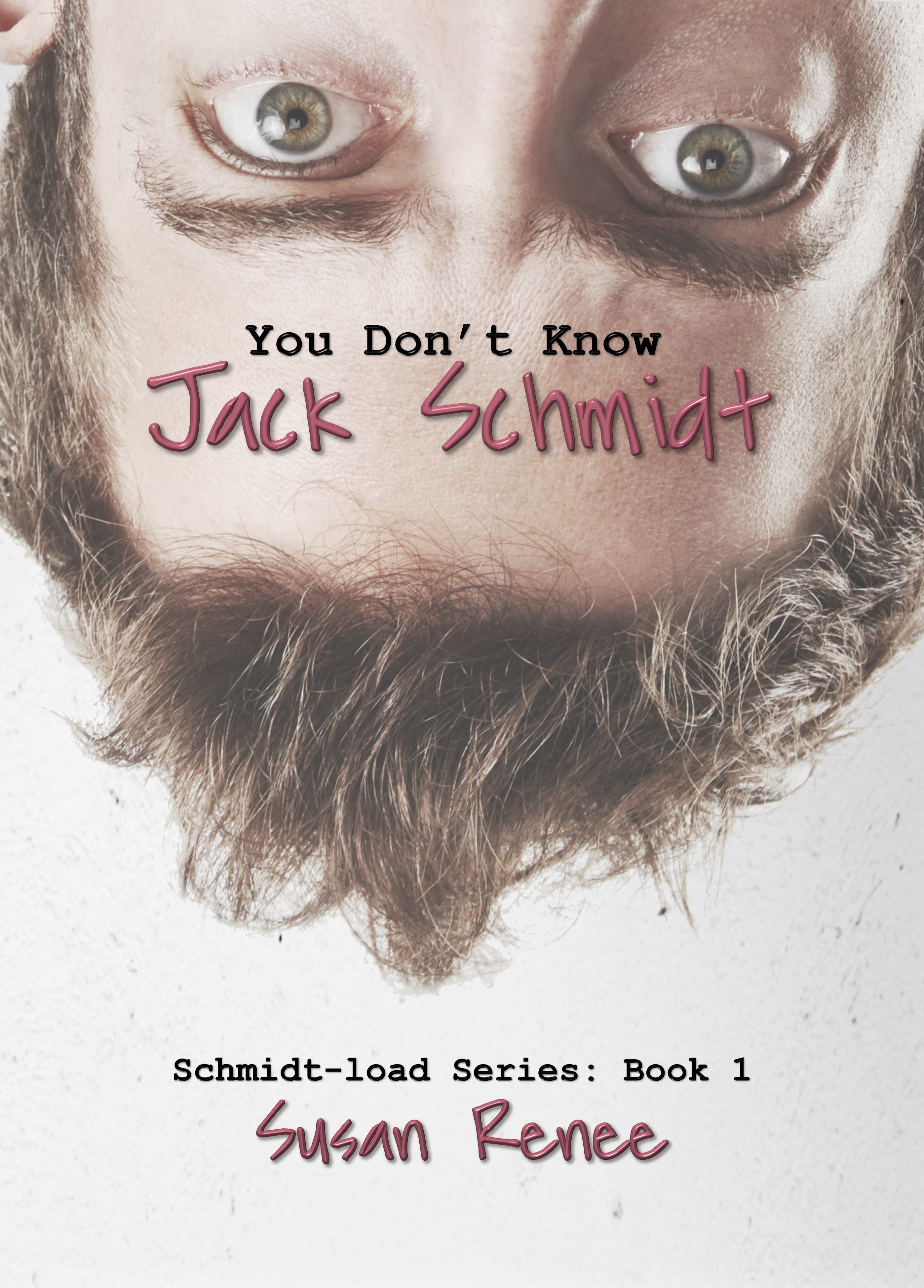 The Schmidt Load book cover 1