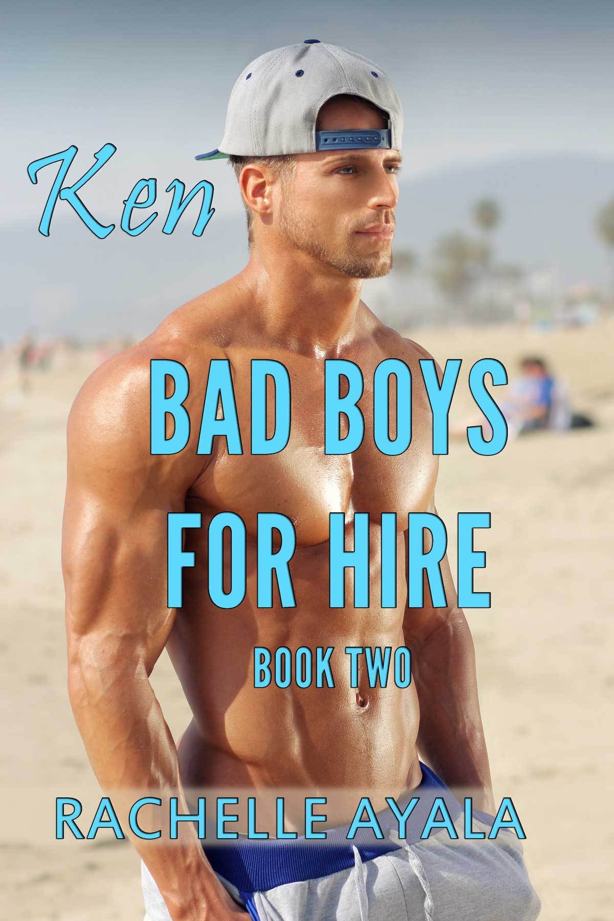 Bad Boys for Hire book cover 2