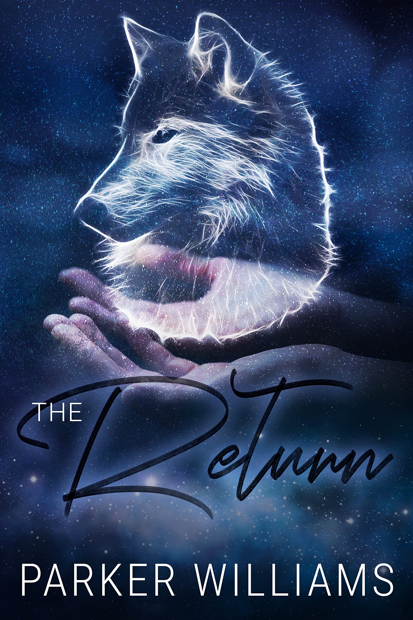 The Return book cover
