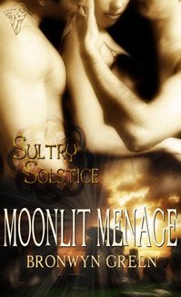 Celtic Fire book cover 3