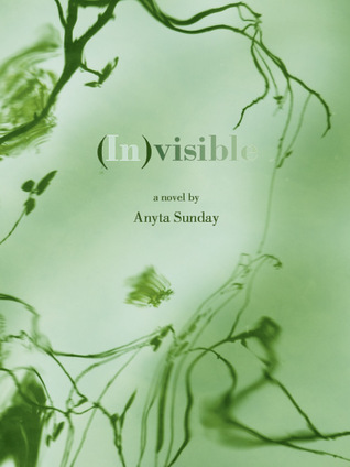 (In)visible book cover