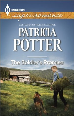Home to Covenant Falls book cover 1
