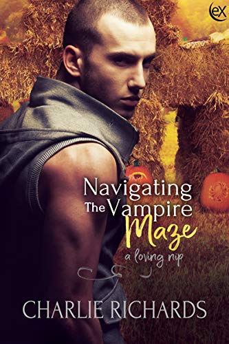 Navigating the Vampire Maze book cover
