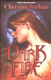 Dark Fire book cover