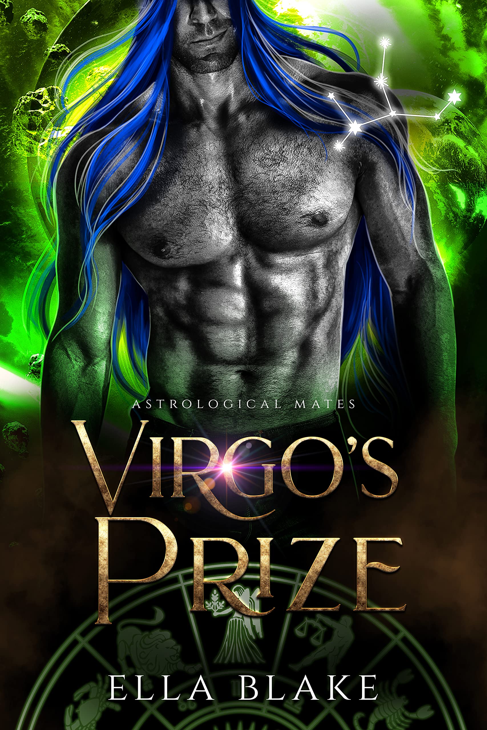 Virgo's Prize book cover