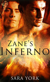 Zane's Inferno book cover