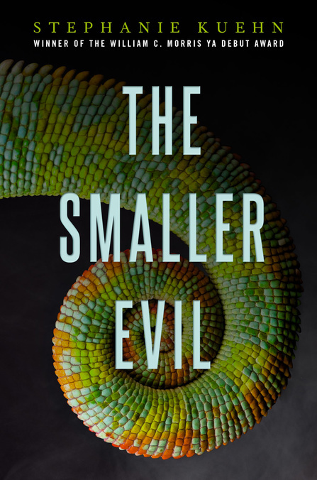 The Smaller Evil book cover