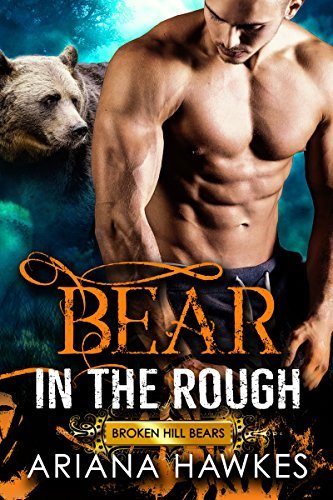 Broken Hill Bears book cover 1