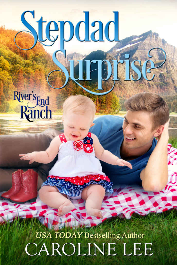 Stepdad Surprise book cover