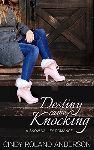 Destiny Came Knocking book cover