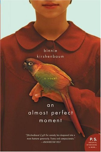 An Almost Perfect Moment book cover