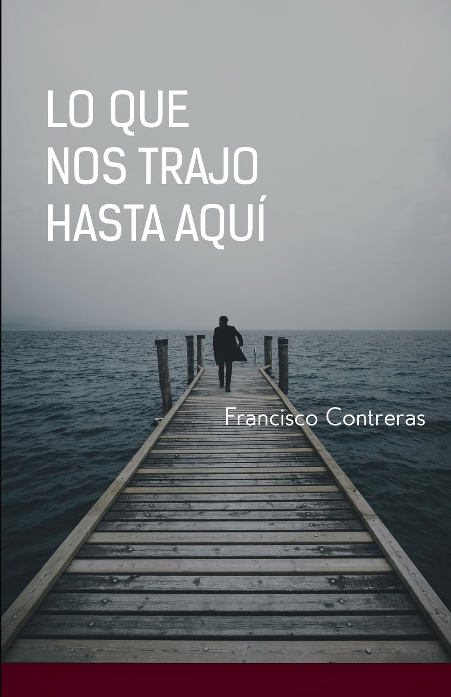 Lo que nos trajo hasta aquí book cover