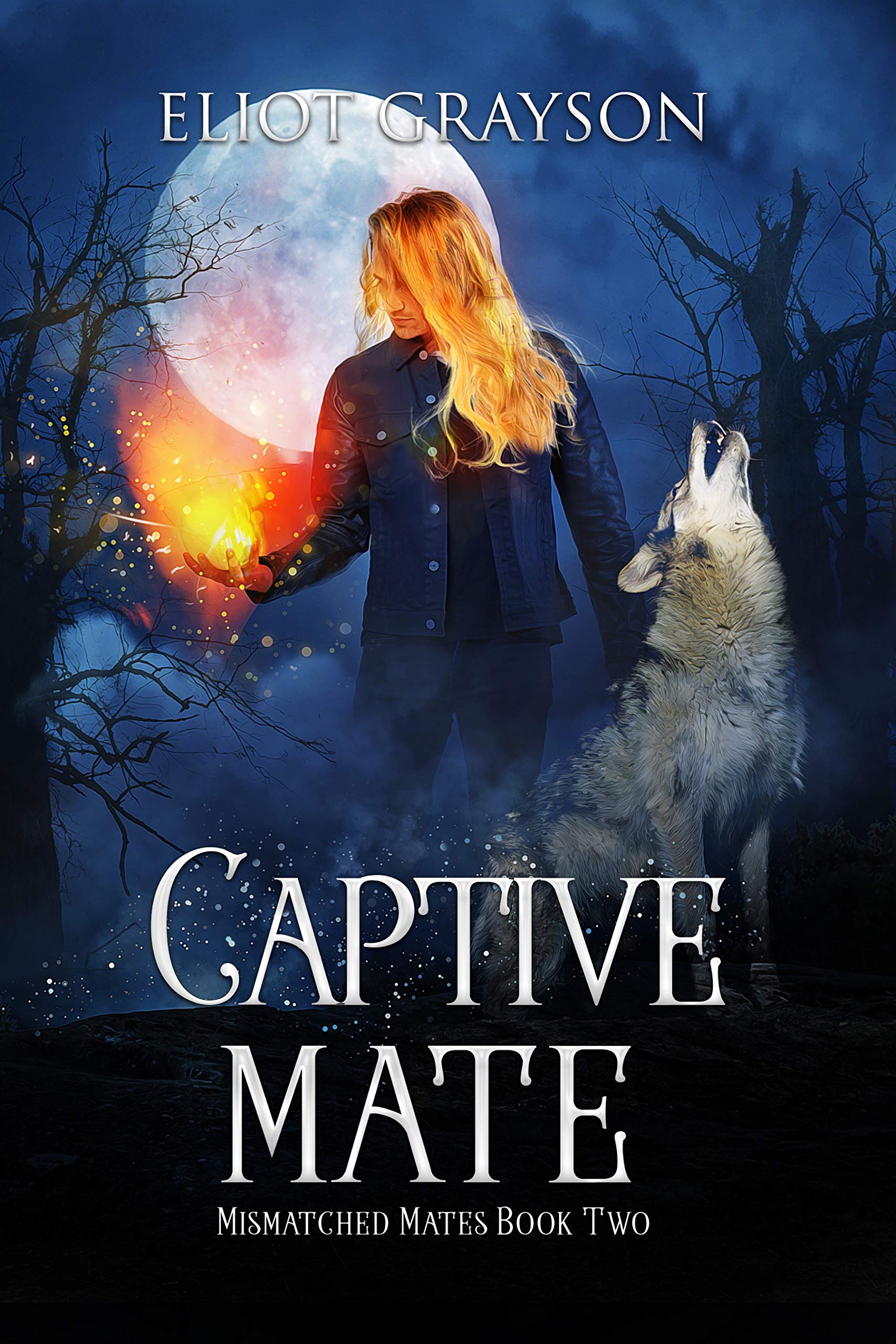 Mismatched Mates book cover 2
