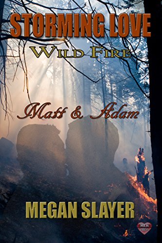 Storming Love: Wild Fire book cover 1