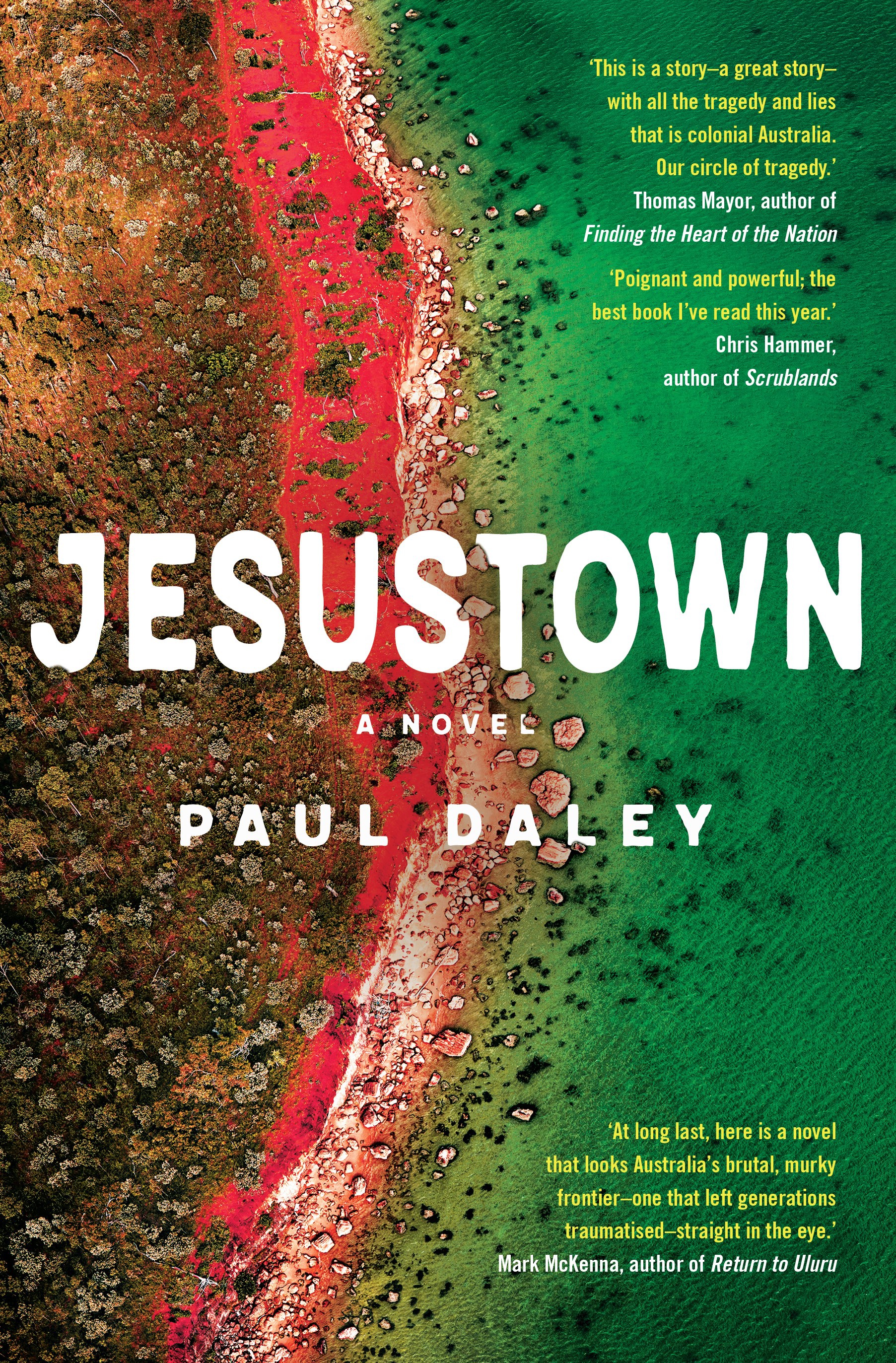 Jesustown book cover