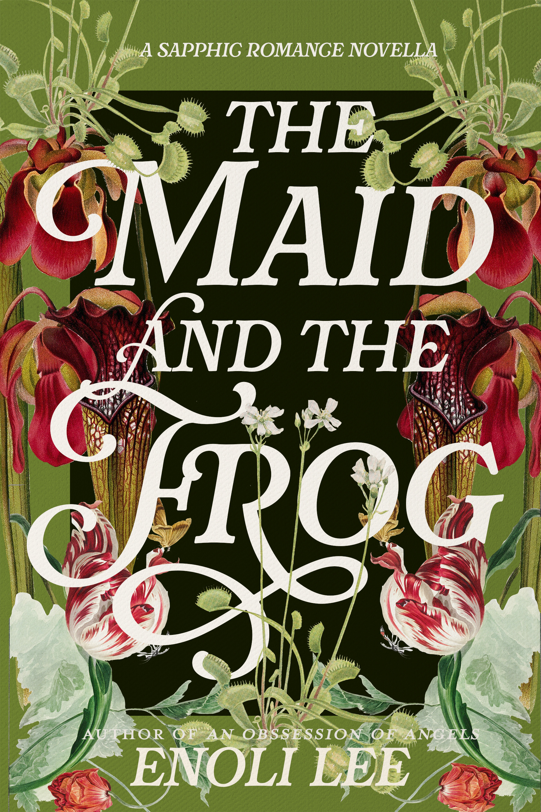 The Maid and the Frog book cover