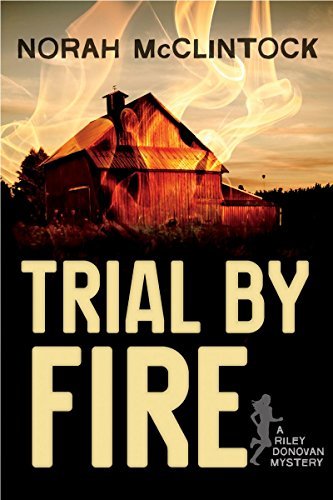 A Riley Donovan Mystery book cover 1