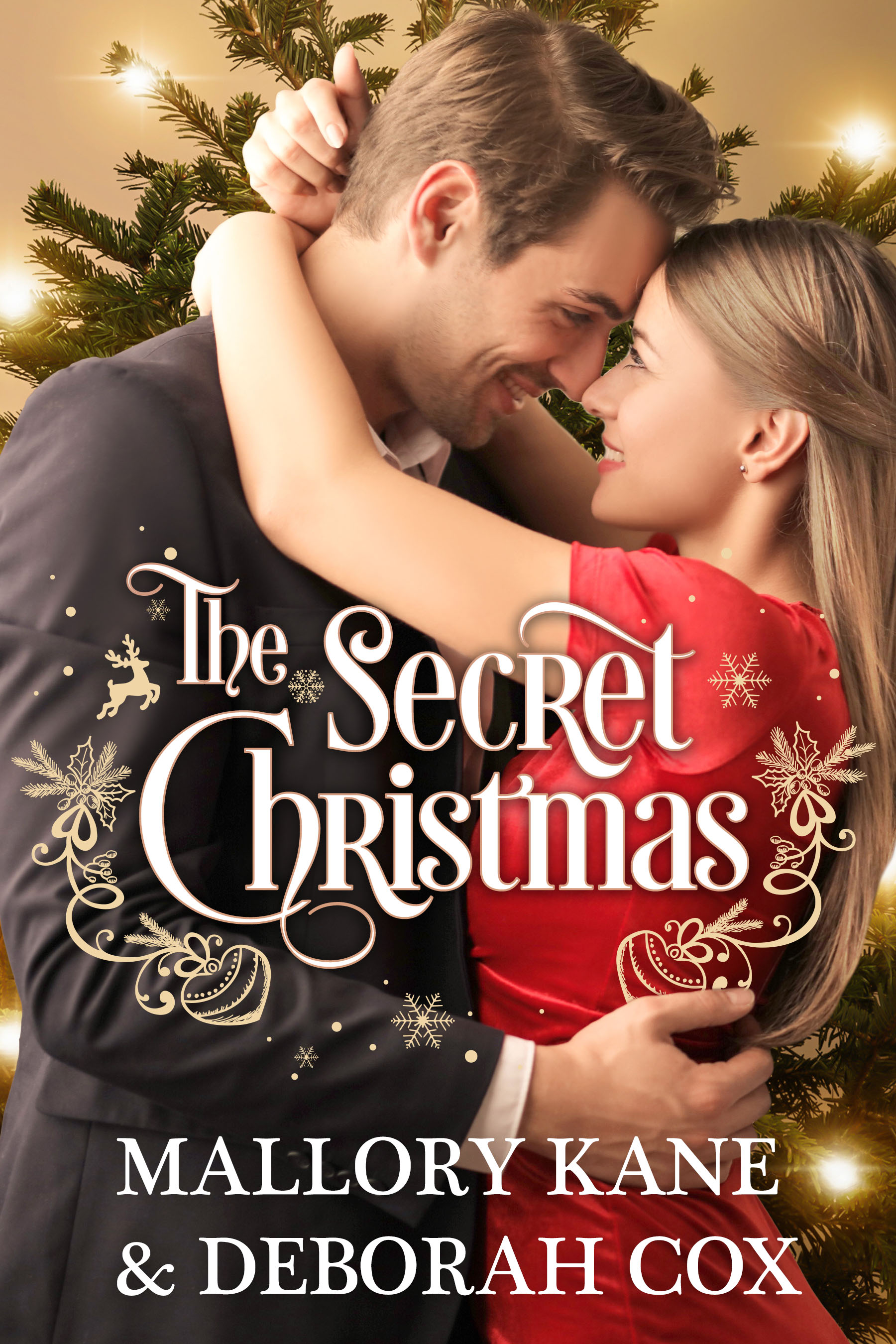 The Secret Christmas book cover