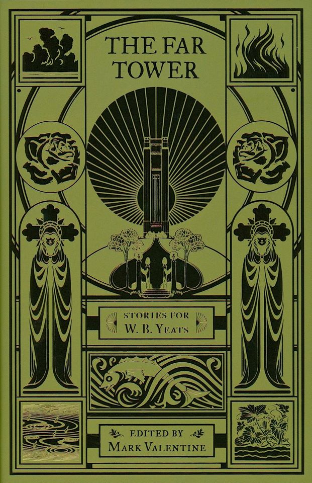 The Far Tower book cover