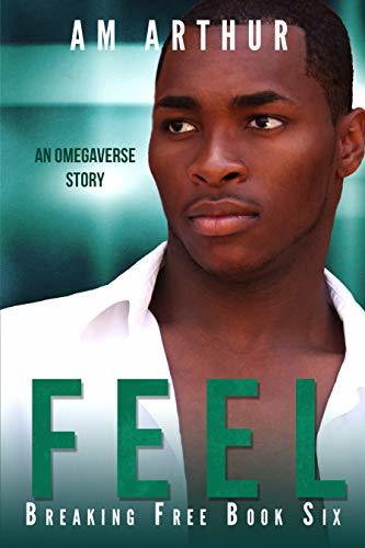 Feel book cover