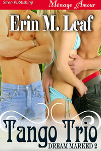 Dream Marked book cover 2