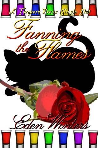The Match Before Christmas book cover 2