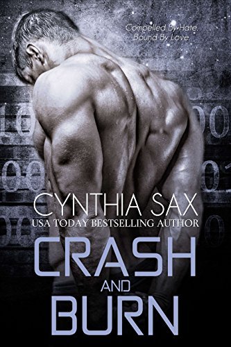 Cyborg Sizzle book cover 3