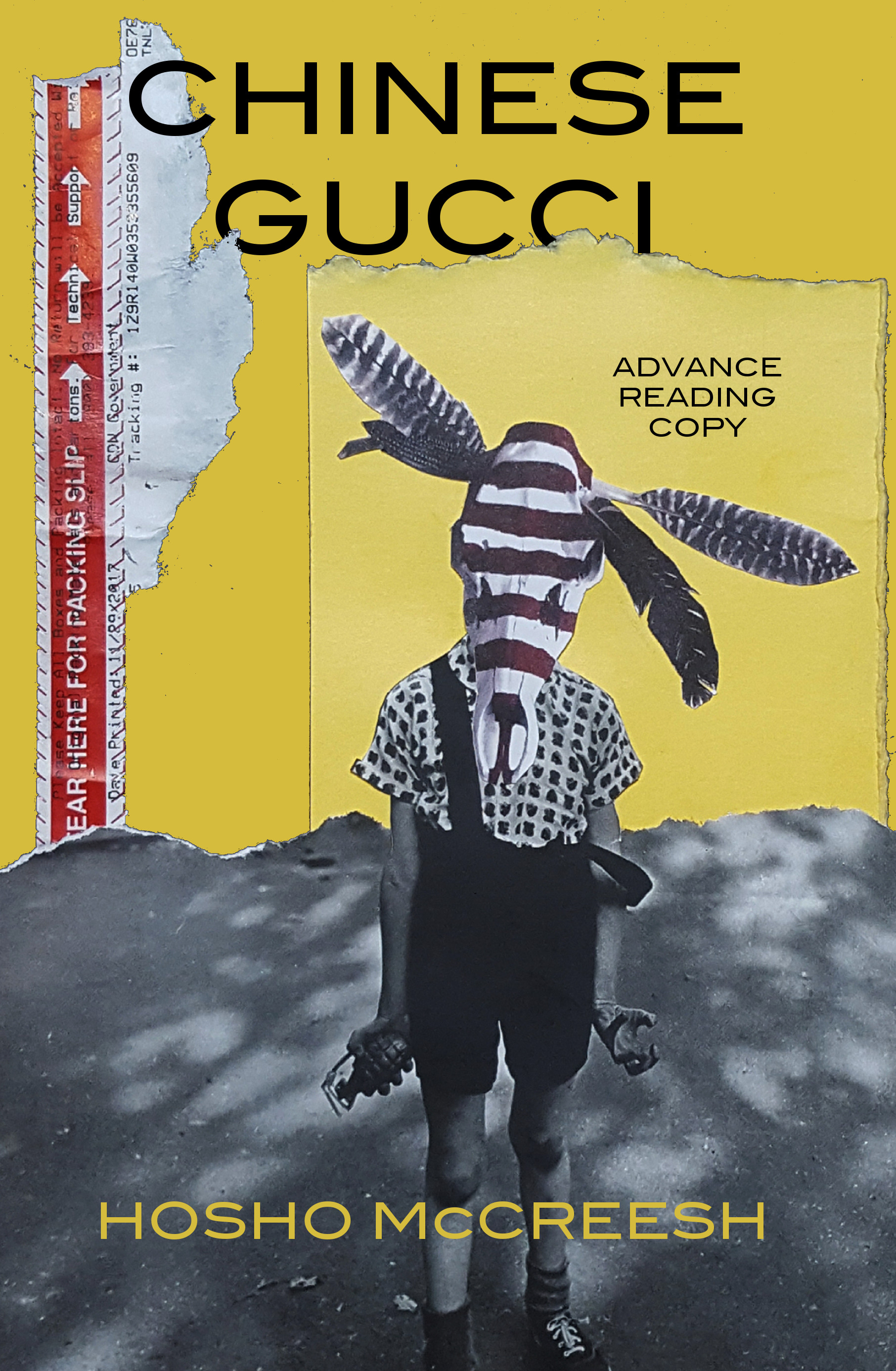 Chinese Gucci book cover