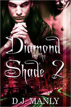 Diamond In Shade book cover 2