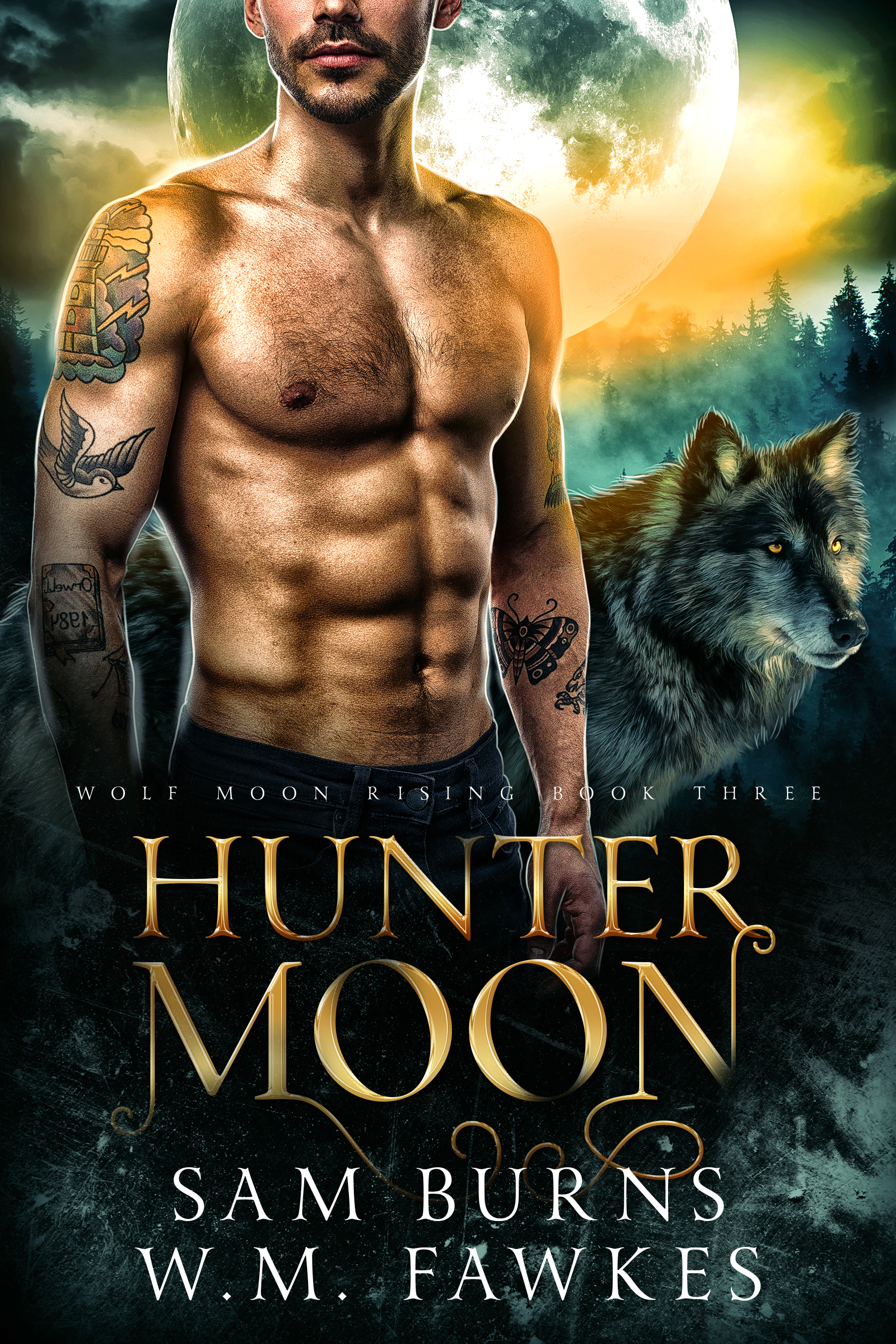 Wolf Moon Rising book cover 3