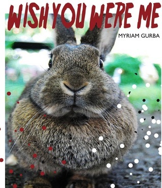 Wish You Were Me book cover
