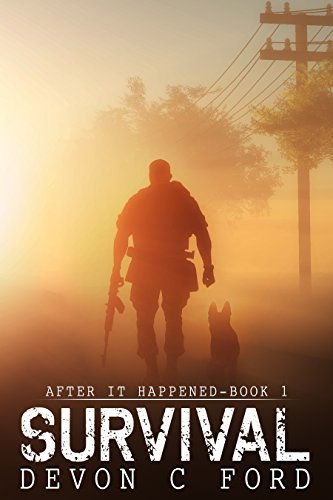 After It Happened book cover 1