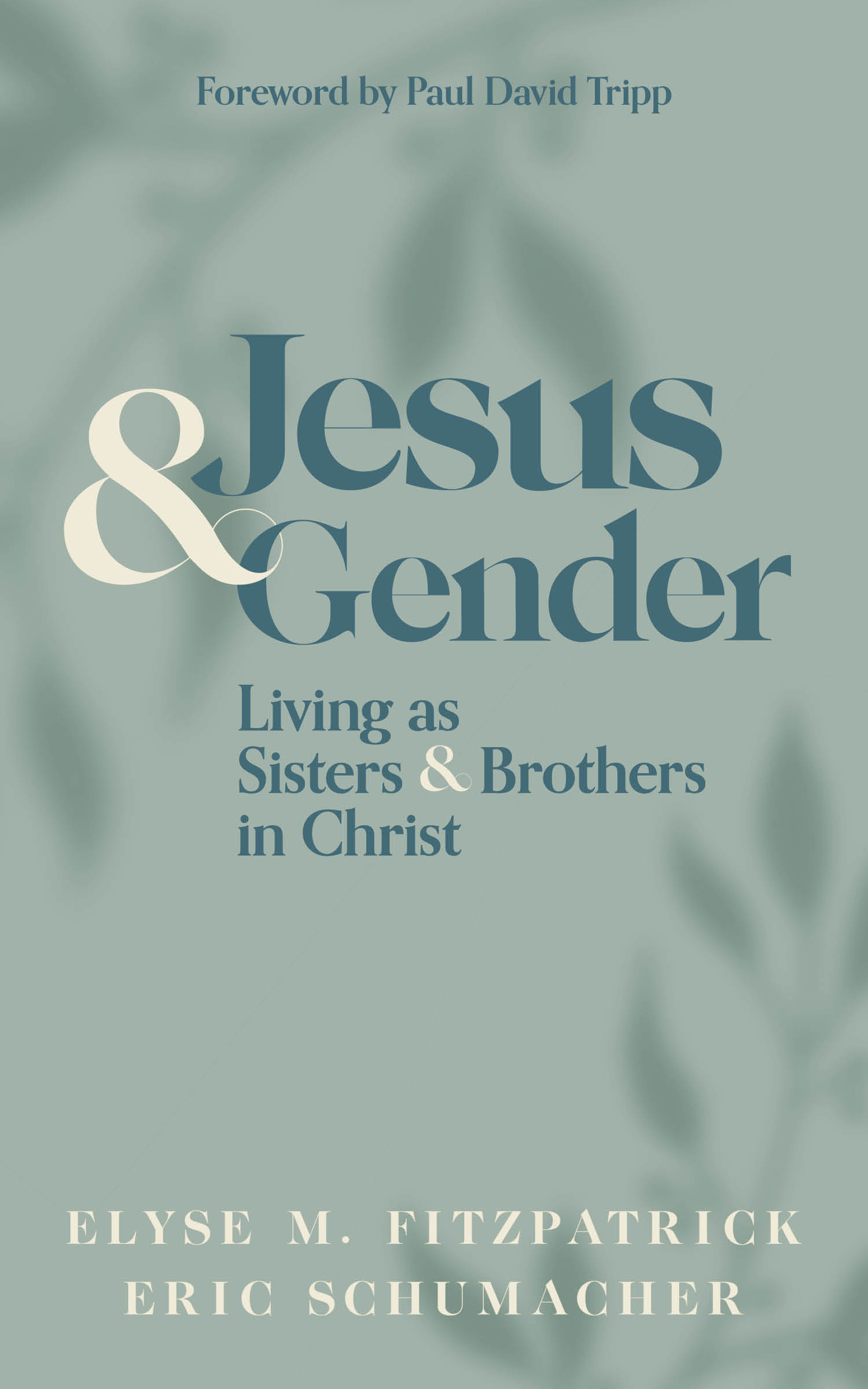 Jesus and Gender book cover