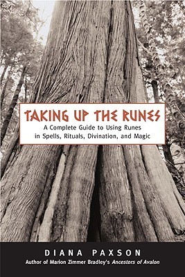Taking Up the Runes book cover