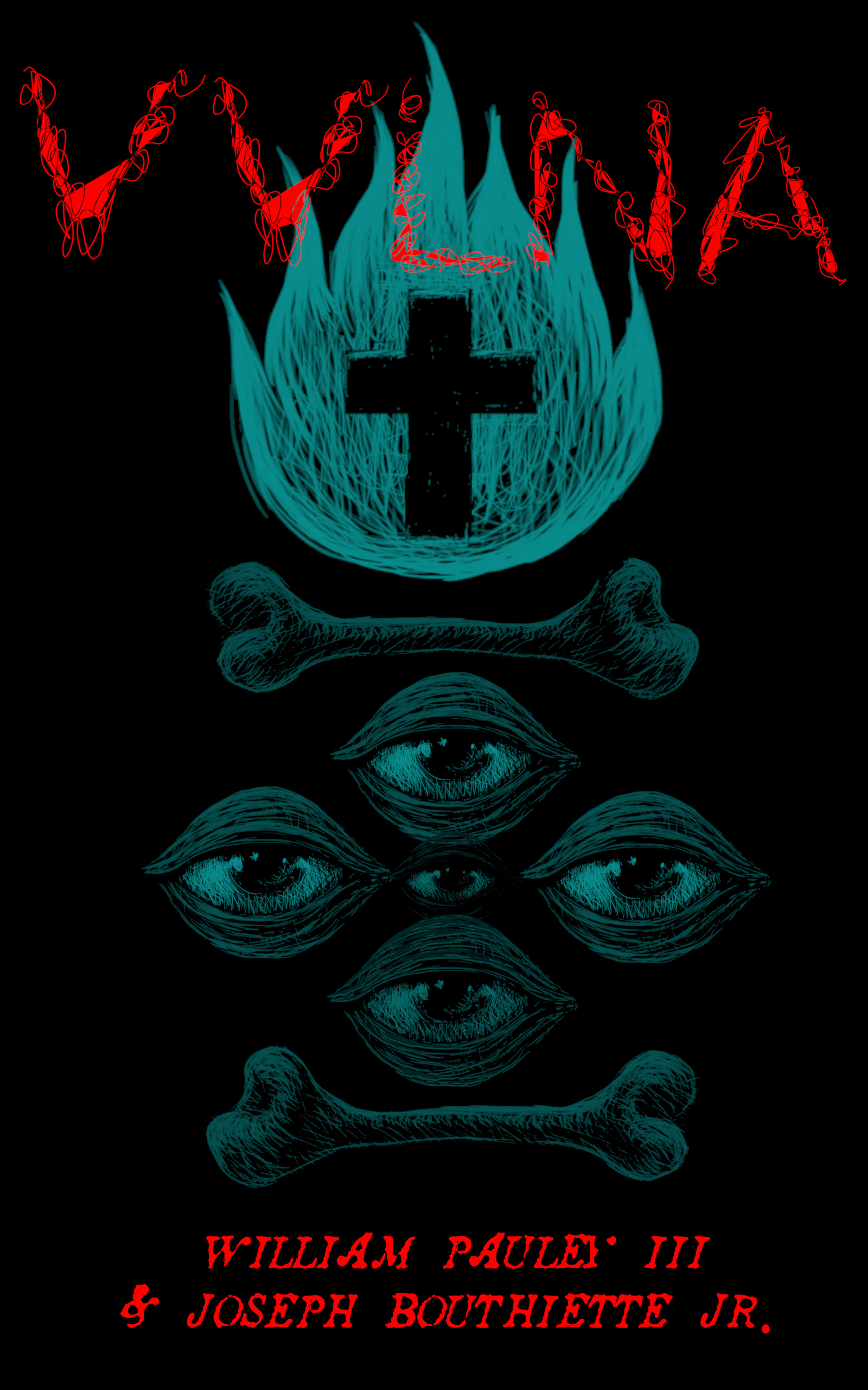 VVLNA book cover