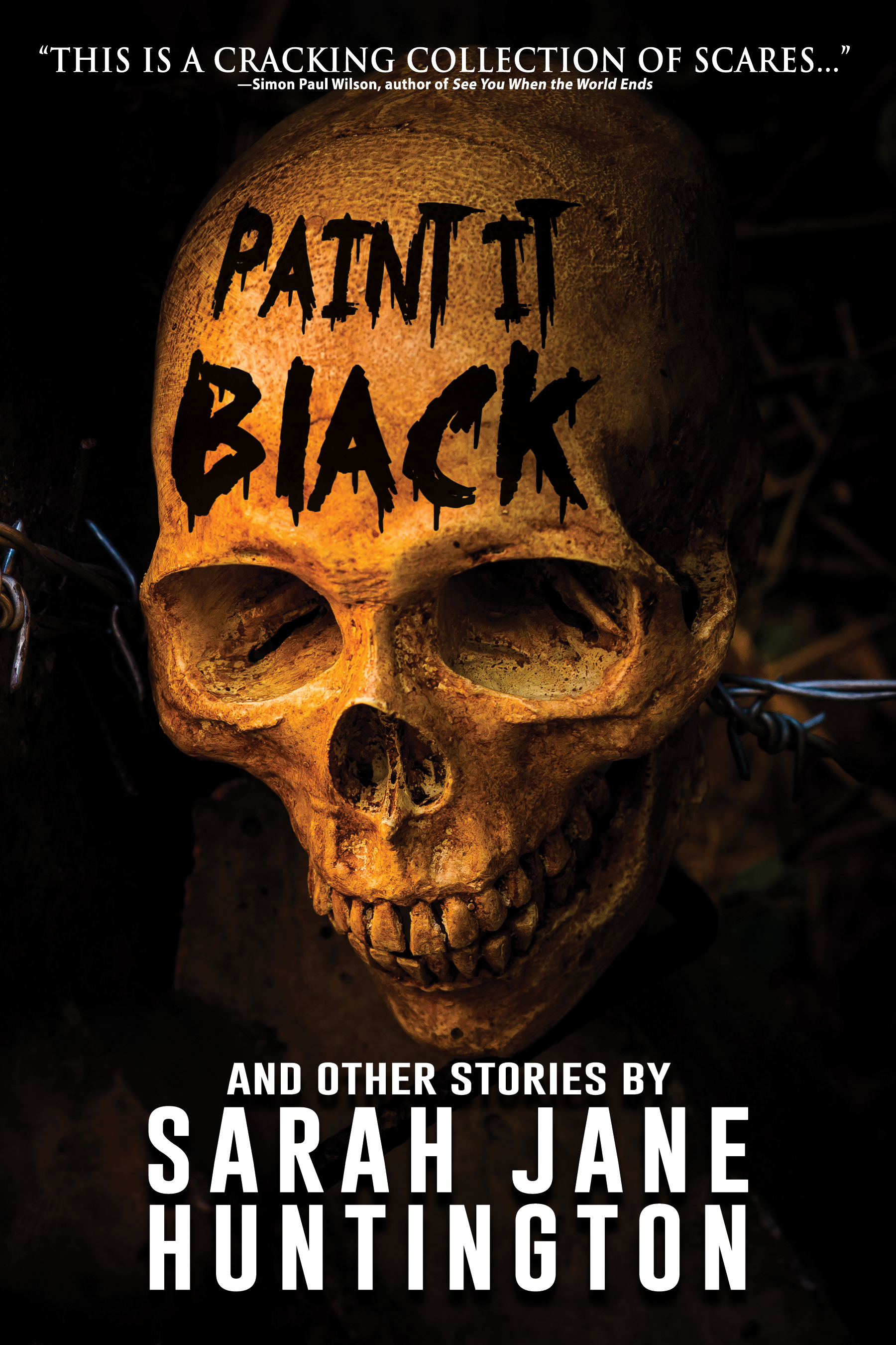 Paint It Black And Other Stories book cover