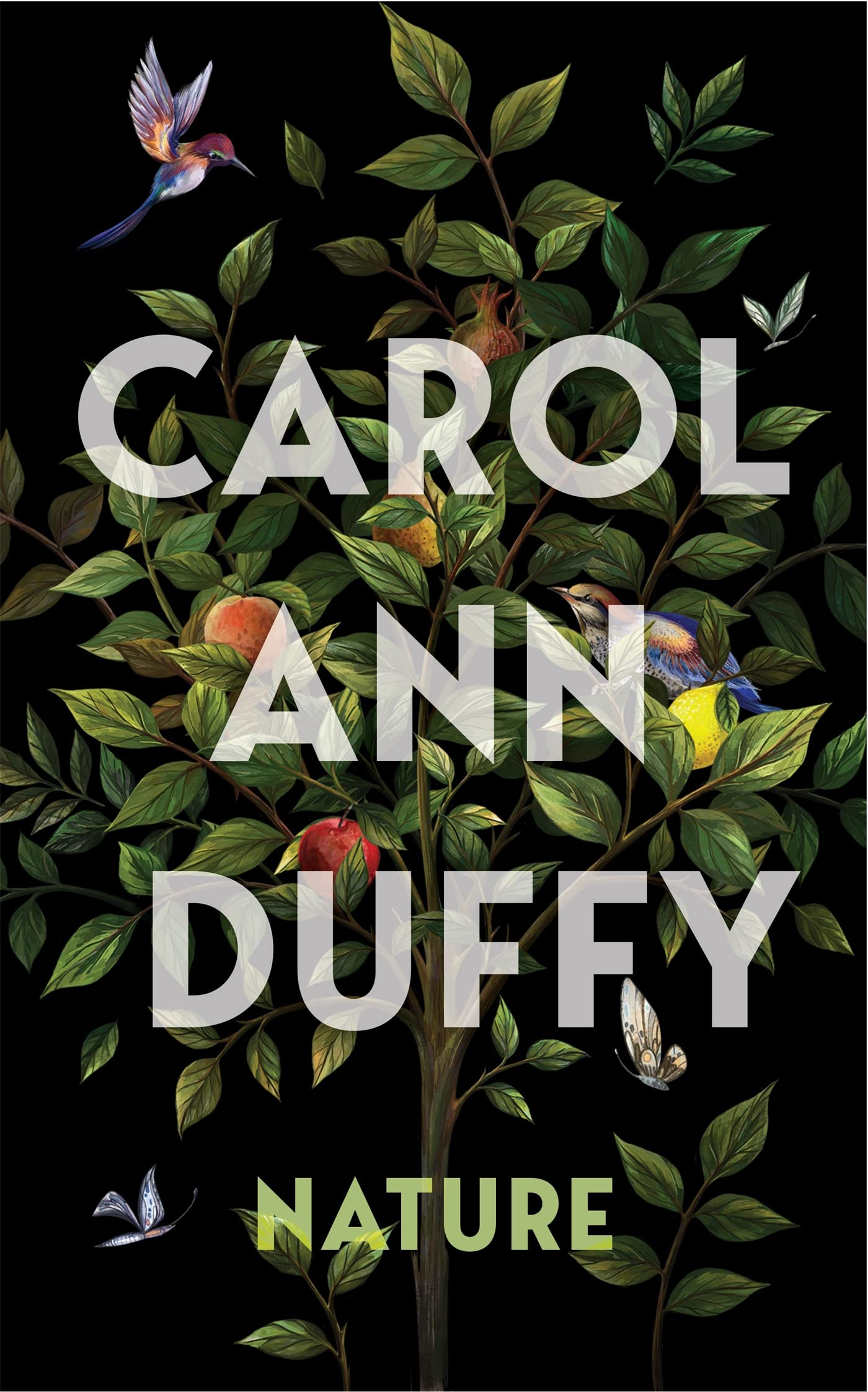 Nature book cover