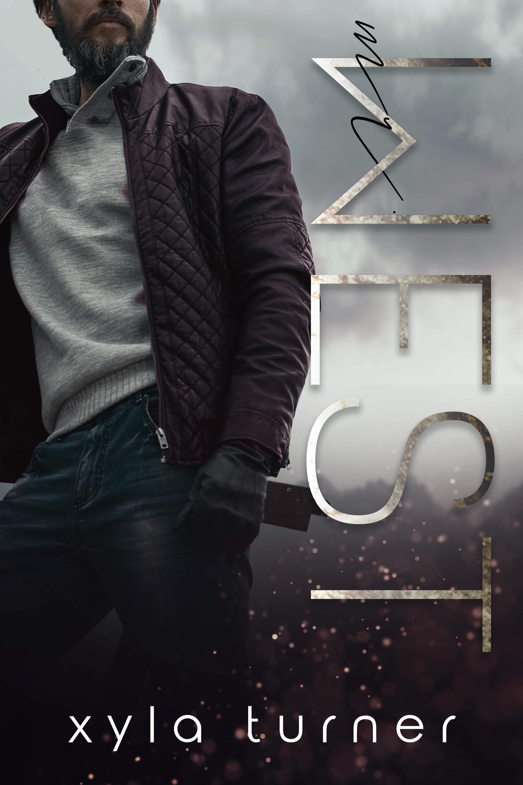Mister book cover 2