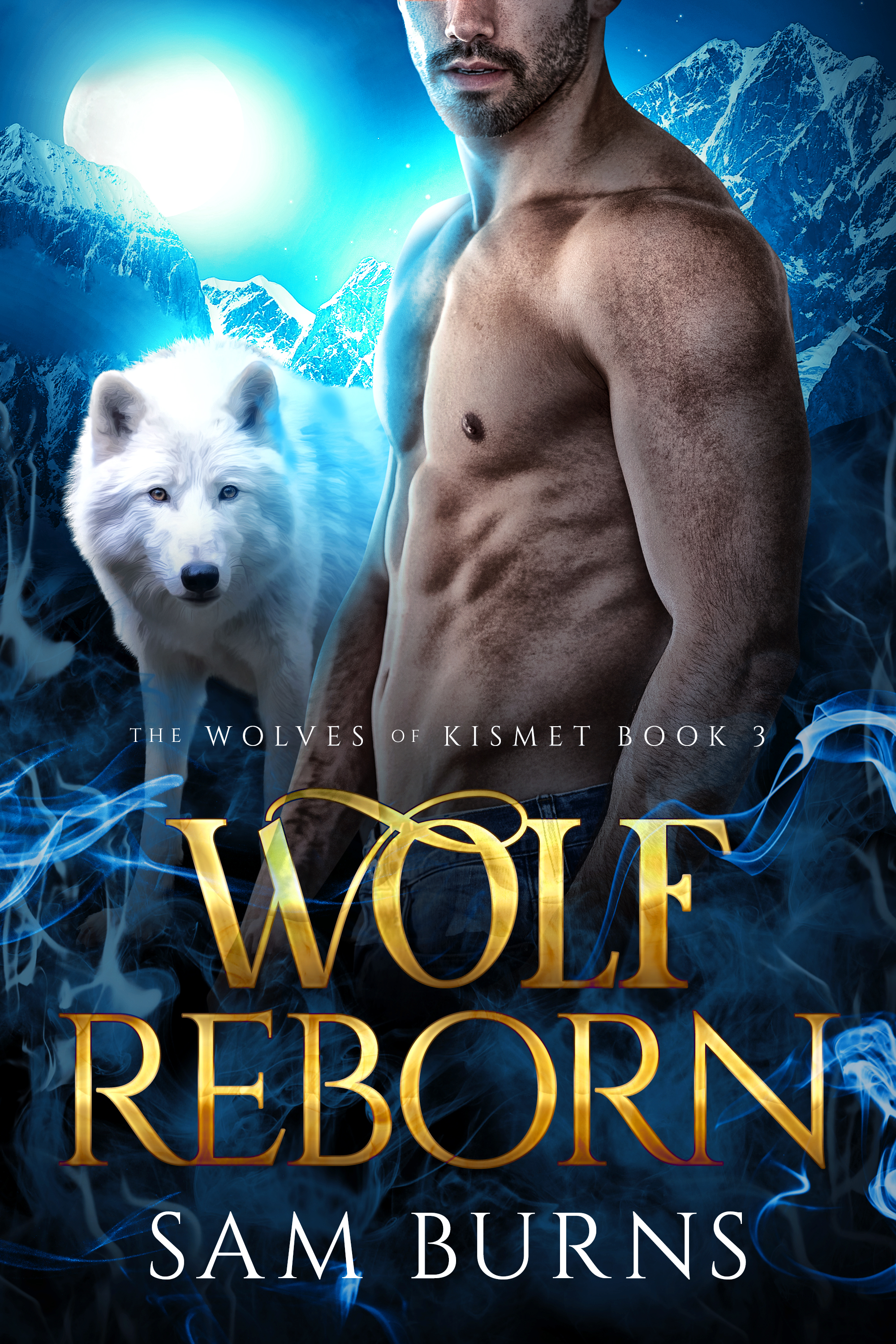 The Wolves of Kismet book cover 3
