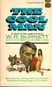 The Cool Man book cover