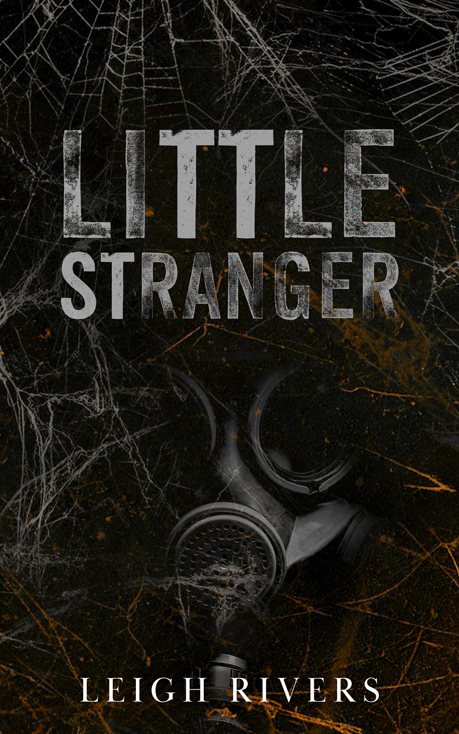 Little Stranger book cover