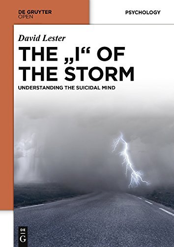 THE "I" OF THE STORM book cover
