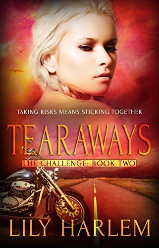 The Challenge book cover 2