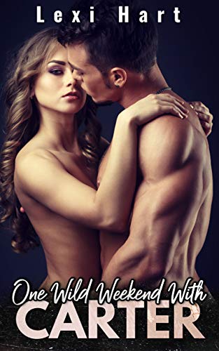 One Wild Weekend with book cover 3