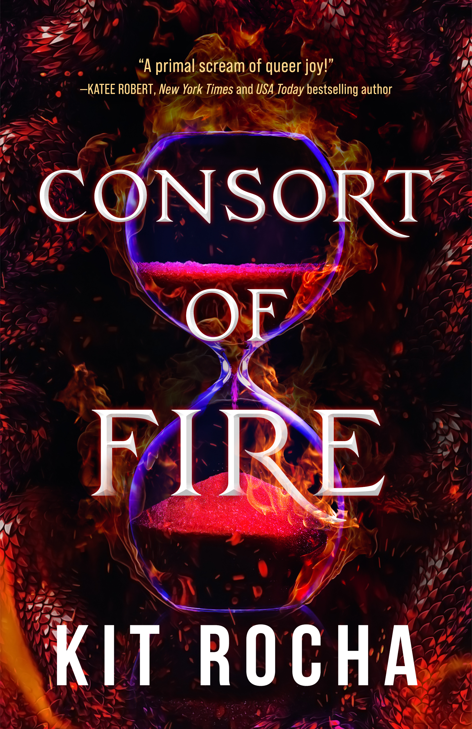 Bound to Fire and Steel book cover 1