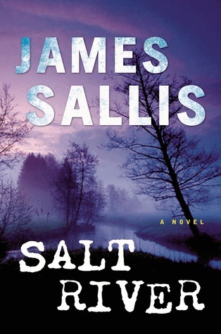 Salt River book cover