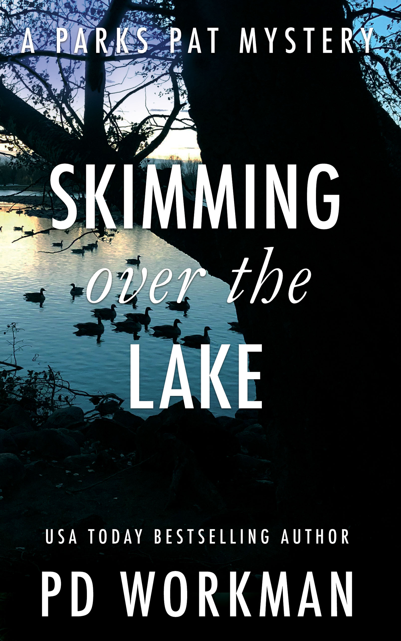 Skimming Over the Lake book cover